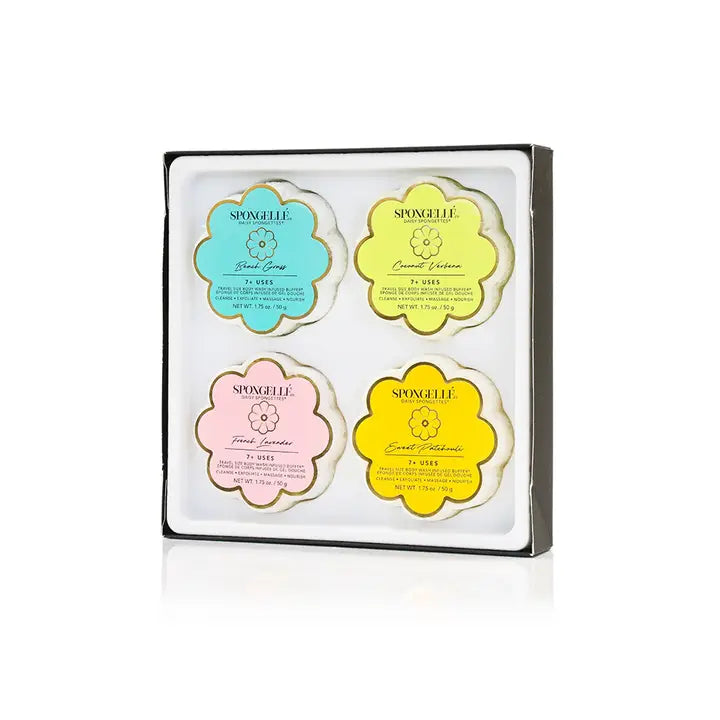 Spongette Quartet Gift Set 2.0