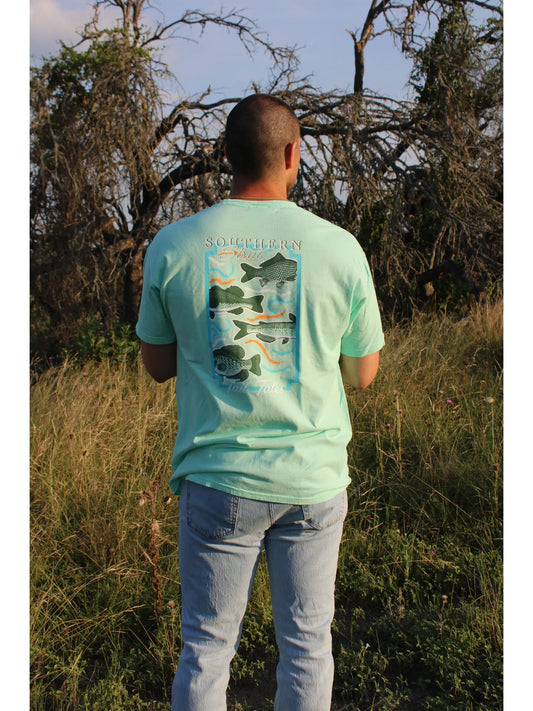 Tail Tales Honeydew Tee